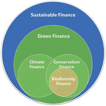 Green Finance vs Sustainable Finance