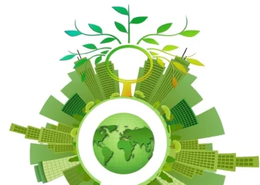 Sustainable Finance là gì? Green Finance là gì